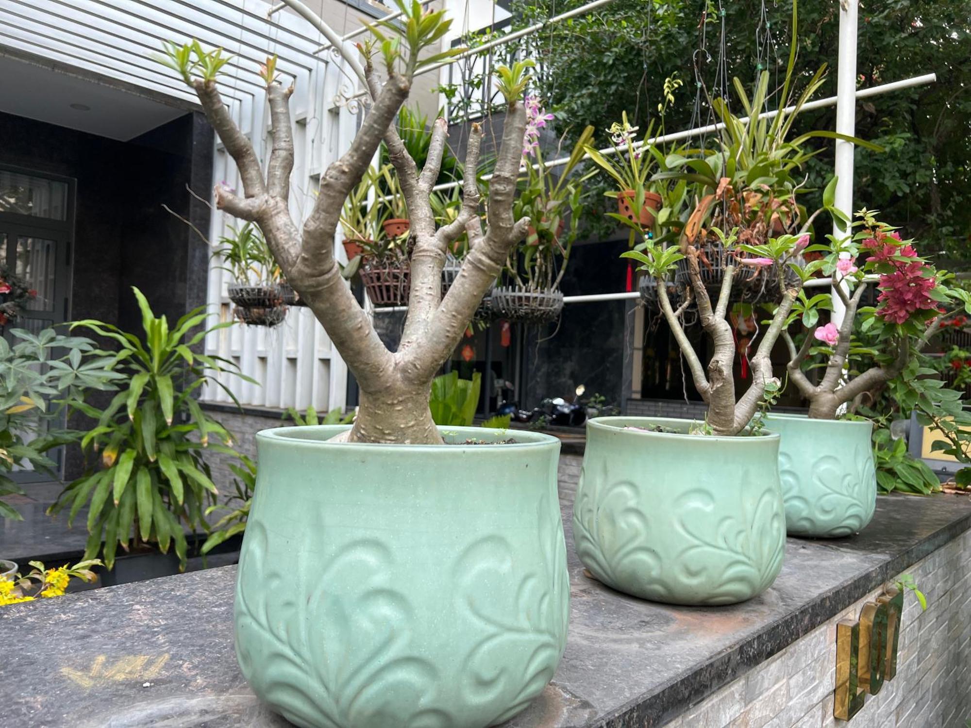 Home Resort With Full Amenities TP. Hồ Chí Minh Ngoại thất bức ảnh
